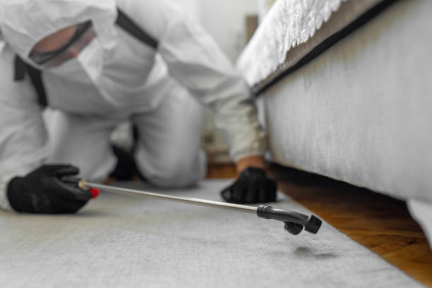 Professional Bed Bug Control technician working in Parkersburg, IA