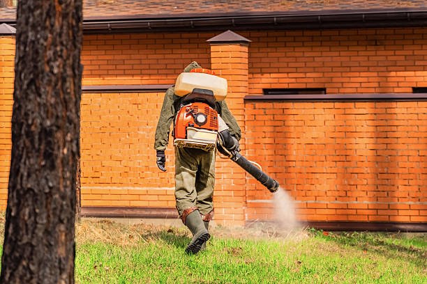 Trusted Rodent Control service in Parkersburg, IA - Nex Pest Control